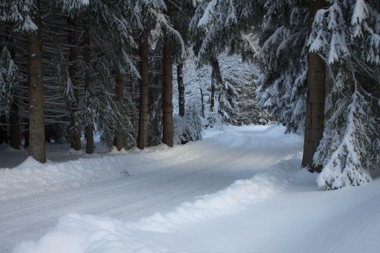 Erzgebirgsidyll Breitenbrunn Ferienwohnung Bagian luar foto