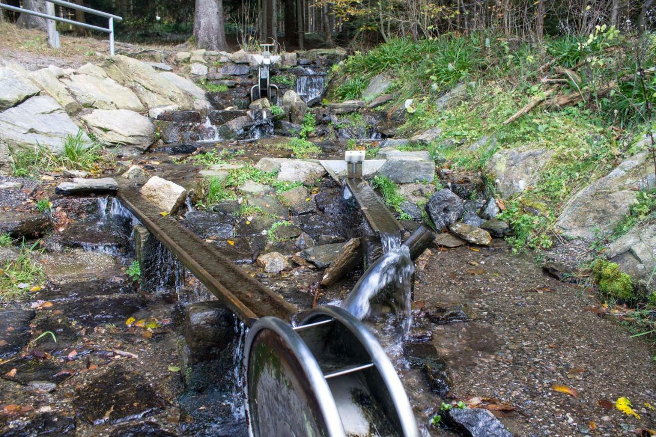 Erzgebirgsidyll Breitenbrunn Ferienwohnung Bagian luar foto