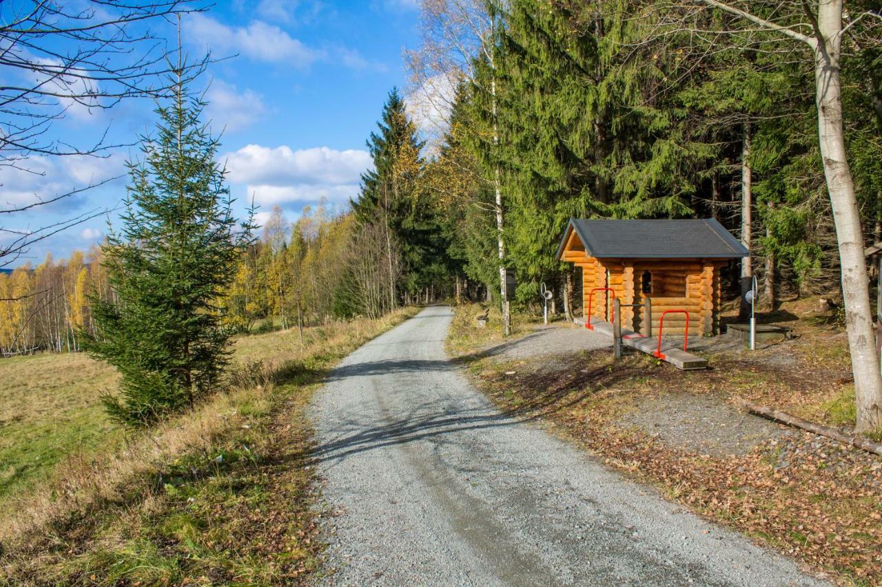 Erzgebirgsidyll Breitenbrunn Ferienwohnung Bagian luar foto